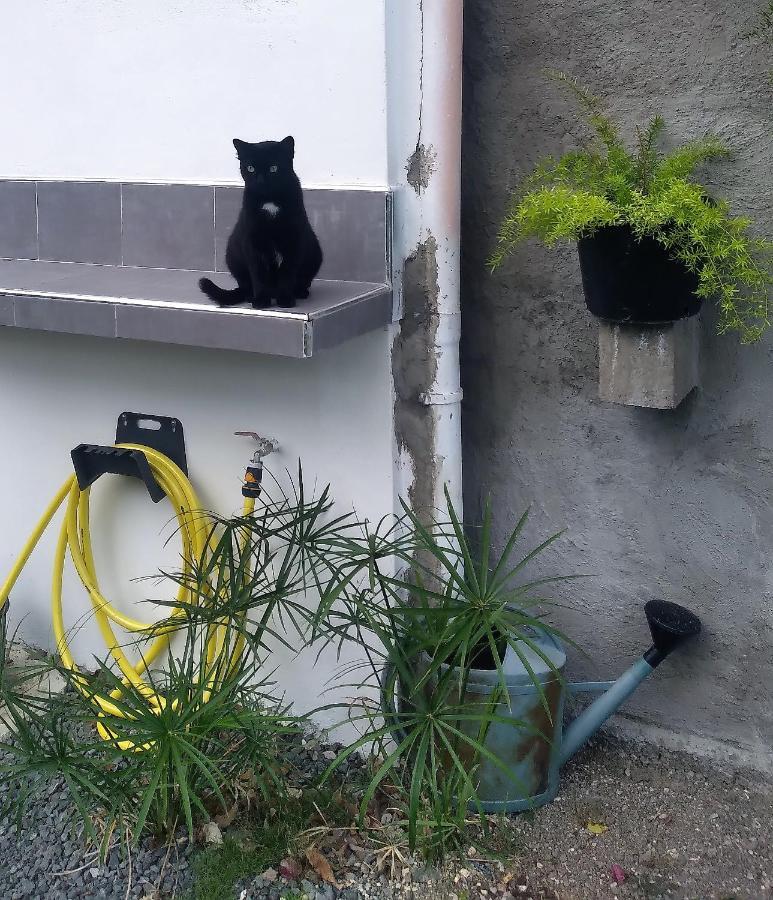 Chambre Avec Cuisine Et Sdb Semi-Privatives Separees Dans Un Ecrin De Verdure Les Abymes Exterior photo